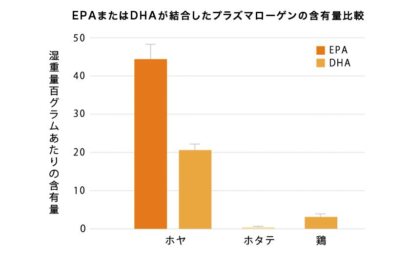 EPAまたはDHAが結合したプラズマローゲンの含有量比較グラフ